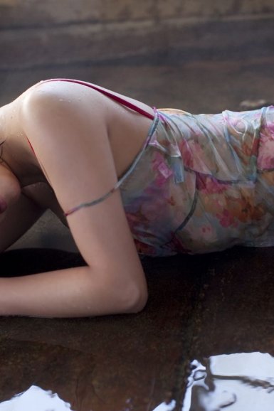 展示中国生物多样性保护成就：半岛·官方站线登入页面